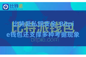 比特派私钥安全  Bitpie钱包还支撑多种考据现象