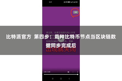 比特派官方  第四步：栽种比特币节点当区块链数据同步完成后