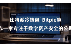 比特派冷钱包  Bitpie算作一家专注于数字资产安全的公司