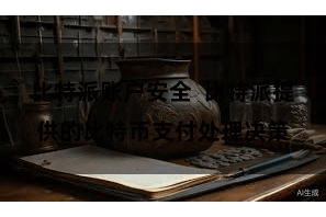 比特派账户安全  比特派提供的比特币支付处理决策