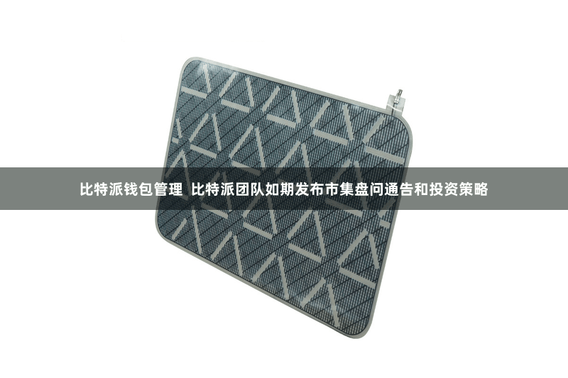 比特派钱包管理  比特派团队如期发布市集盘问通告和投资策略